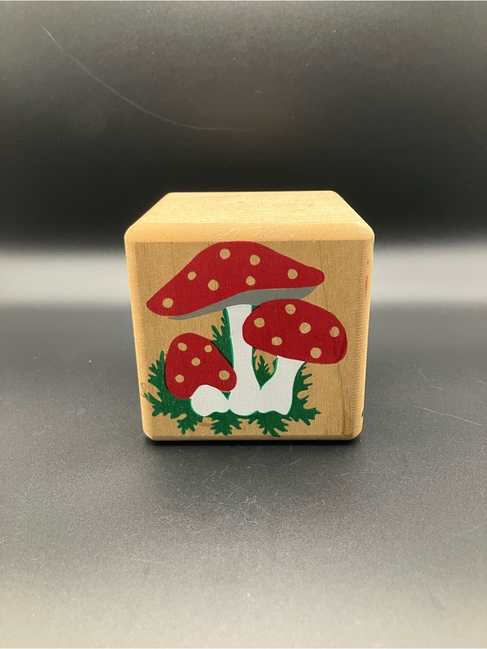 Kim Dormandy Turner 1990 Wooden Mushroom Letter M Decorative Block